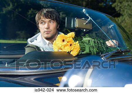 Man in car with flowers View Large Photo Image Picture - Man in car with flowers. Fotosearch