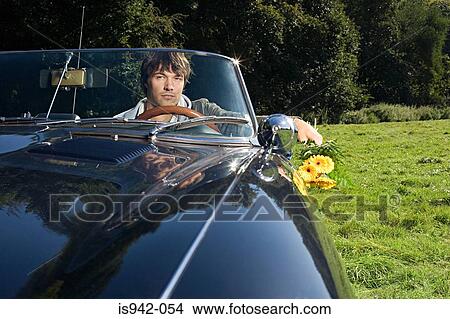 Man in convertible with flowers View Large Photo Image Picture - Man in convertible with flowers. Fotosearch