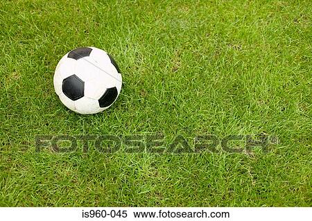 Football on turf View Large Photo Image Stock Photography - Football on turf. Fotosearch
