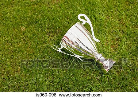 Trophy on football pitch View Large Photo Image Stock Photograph - Trophy on football pitch. Fotosearch