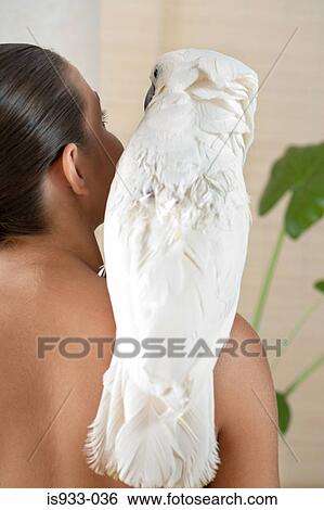 Girl with cockatoo on her shoulder View Large Photo Image Stock Photograph - Girl with cockatoo on her shoulder. Fotosearch