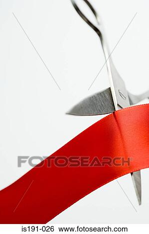 Cutting a red ribbon View Large Photo Image Stock Photograph - Cutting a red ribbon. Fotosearch