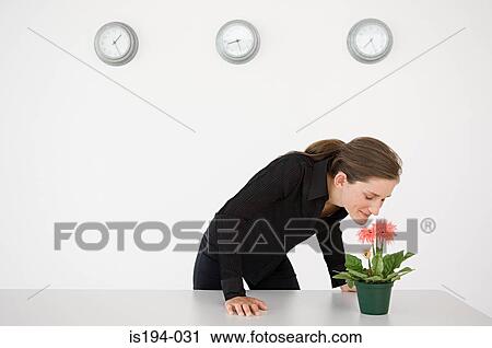 Stock Image - Businesswoman smelling a flower. Fotosearch