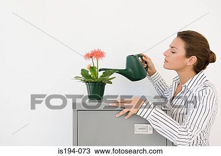 Businesswoman water a plant View Large Photo Image Stock Image - Businesswoman water a plant. Fotosearch