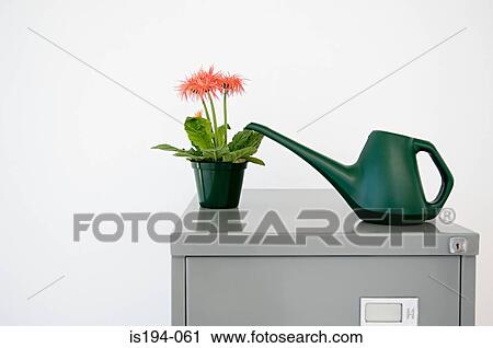 Stock Image - Plant and watering can on filing cabinet. Fotosearch