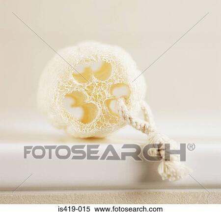 Stock Photography - Loofah on a rope. Fotosearch