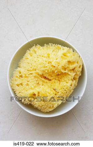 Sponge in a bowl View Large Photo Image Stock Image - Sponge in a bowl. Fotosearch