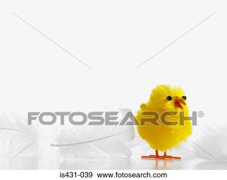 Easter chick and feathers View Large Photo Image Stock Photo - Easter chick and feathers. Fotosearch