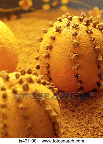 Stock Image - Oranges with cloves. Fotosearch