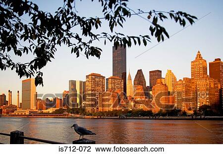 New york skyline View Large Photo Image Stock Image - New york skyline. Fotosearch
