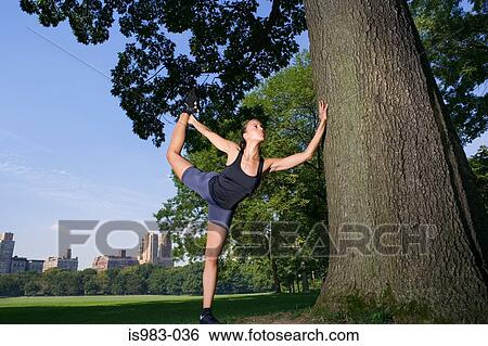 Stock Photograph - Woman stretching in the park. Fotosearch