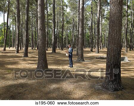Stock Image - Businessman reading newspaper in forest. Fotosearch