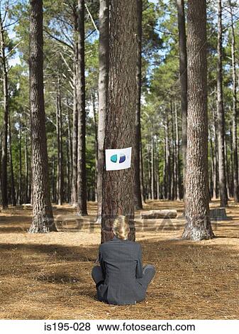 Stock Photo - Businesswoman looking at graph in forest. Fotosearch