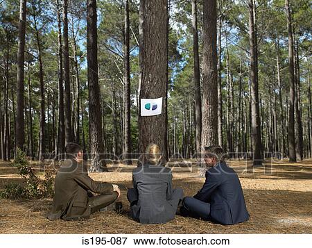 Office workers in a forest View Large Photo Image Stock Photo - Office workers in a forest. Fotosearch