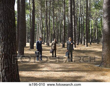Stock Image - Office workers in forest. Fotosearch