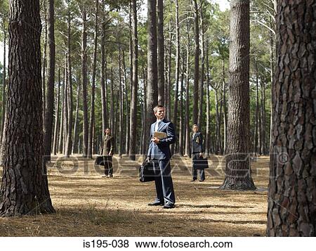 Office workers in forest View Large Photo Image Stock Photo - Office workers in forest. Fotosearch