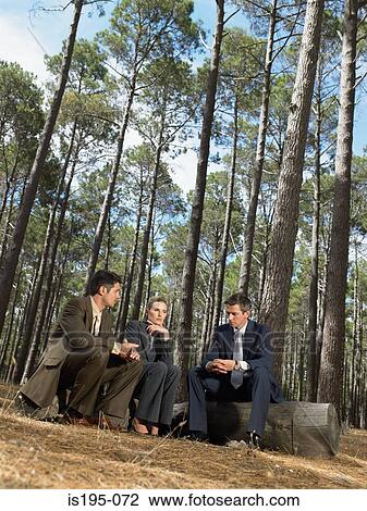 Office workers sitting in a forest View Large Photo Image Stock Image - Office workers sitting in a forest. Fotosearch
