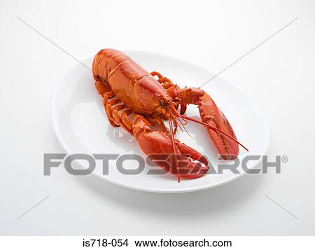 Lobster View Large Photo Image Picture - Lobster. Fotosearch