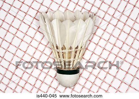 Badminton racket and shuttlecock View Large Photo Image Stock Photography - Badminton racket and shuttlecock. Fotosearch