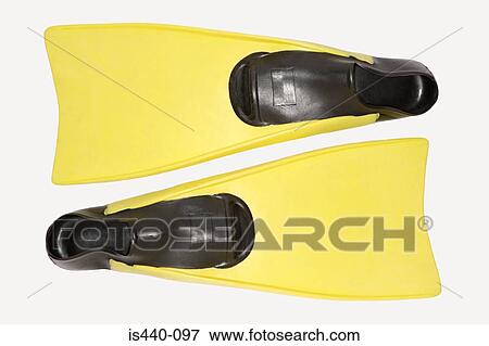 Stock Photo - Diving flippers. Fotosearch