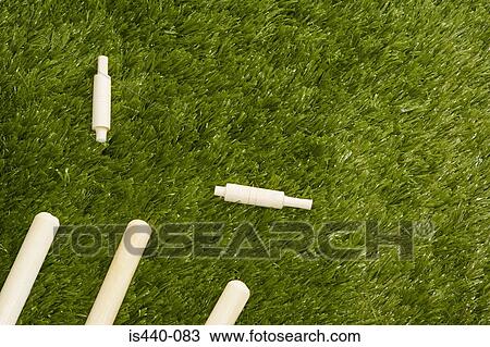 Fallen cricket stumps View Large Photo Image Stock Image - Fallen cricket stumps. Fotosearch