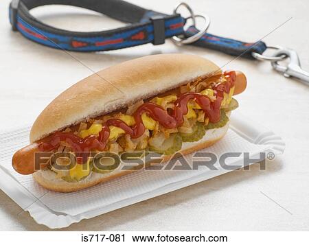 Hot dog and dog lead View Large Photo Image Stock Image - Hot dog and dog lead. Fotosearch