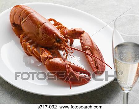 Stock Image - Lobster and champagne. Fotosearch