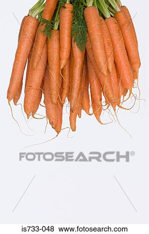 Stock Photo - Bunch of carrots. Fotosearch