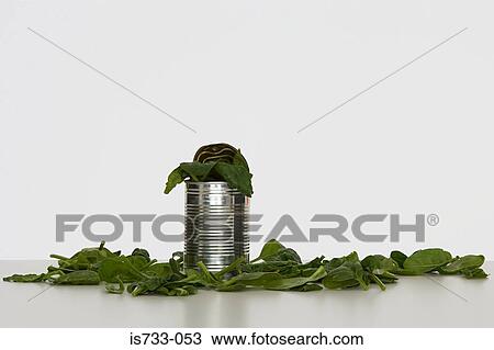 Spinach in a can View Large Photo Image Stock Image - Spinach in a can. Fotosearch