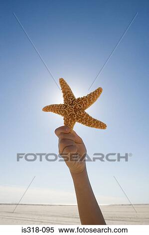 Stock Photography - Boy holding starfish against sky, (Close up of hand). Fotosearch