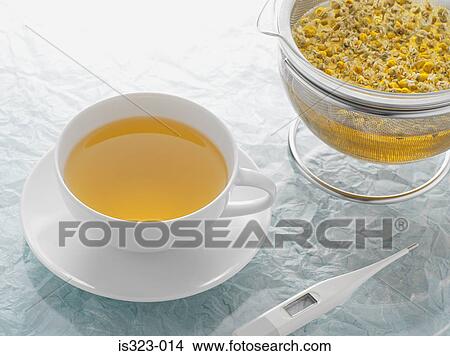 Chamomile tea View Large Photo Image Picture - Chamomile tea. Fotosearch