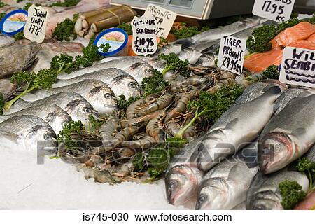 Fish counter View Large Photo Image Stock Image - Fish counter. Fotosearch