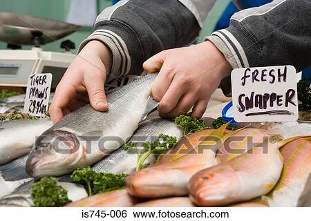 Fishmonger View Large Photo Image Stock Photograph - Fishmonger. Fotosearch