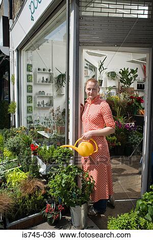 Florist watering plants View Large Photo Image Stock Photograph - Florist watering plants. Fotosearch