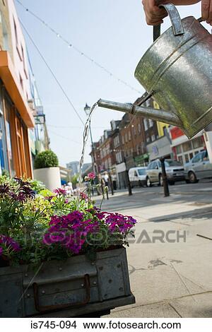 Watering plants View Large Photo Image Picture - Watering plants. Fotosearch
