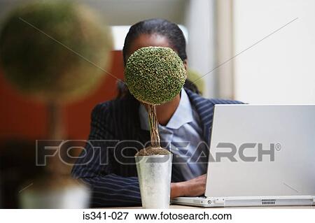 Businesswoman hiding behind bonsai tree View Large Photo Image Stock Photo - Businesswoman hiding behind bonsai tree. Fotosearch