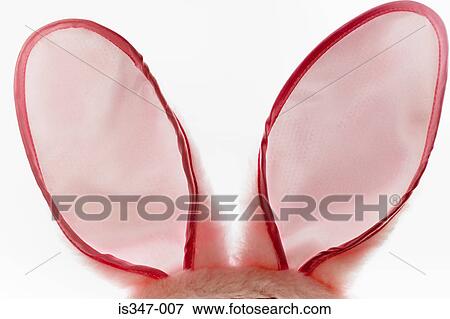 Bunny ears View Large Photo Image Stock Photo - Bunny ears. Fotosearch