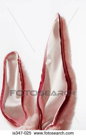 Bunny ears View Large Photo Image Stock Photography - Bunny ears. Fotosearch