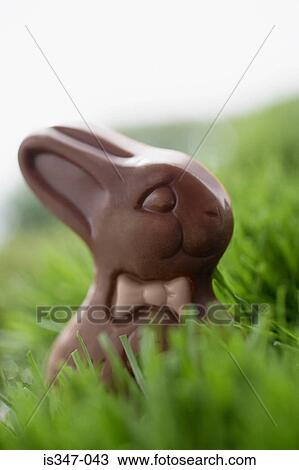 Chocolate rabbit View Large Photo Image Stock Image - Chocolate rabbit. Fotosearch