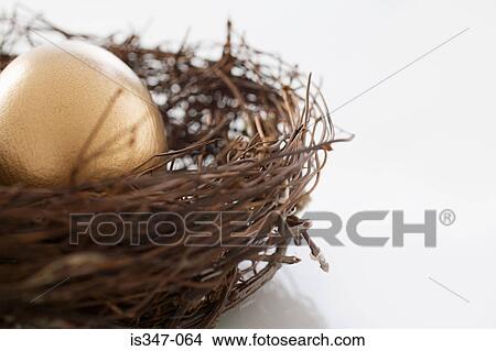 Golden egg in a nest View Large Photo Image Picture - Golden egg in a nest. Fotosearch