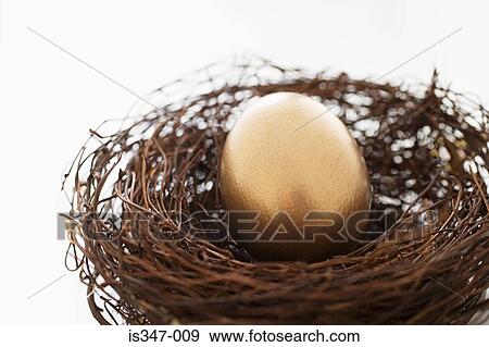 Golden egg in a nest View Large Photo Image Stock Photo - Golden egg in a nest. Fotosearch