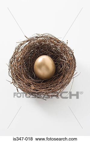 Golden egg in a nest View Large Photo Image Stock Photo - Golden egg in a nest. Fotosearch