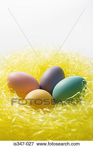 Yellow nest of colourful eggs View Large Photo Image Stock Photo - Yellow nest of colourful eggs. Fotosearch
