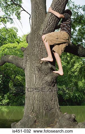 Teenage boy climbing a tree View Large Photo Image Stock Image - Teenage boy climbing a tree. Fotosearch