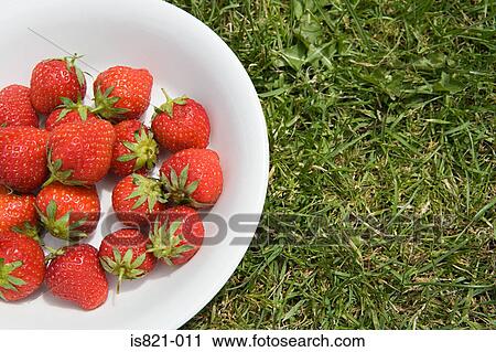Stock Image - Bowl of strawberries on the lawn. Fotosearch