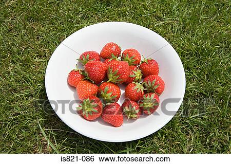 Strawberries in a bowl View Large Photo Image Stock Photograph - Strawberries in a bowl. Fotosearch