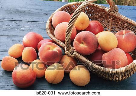 Stock Image - Basket of peaches and apricots. Fotosearch