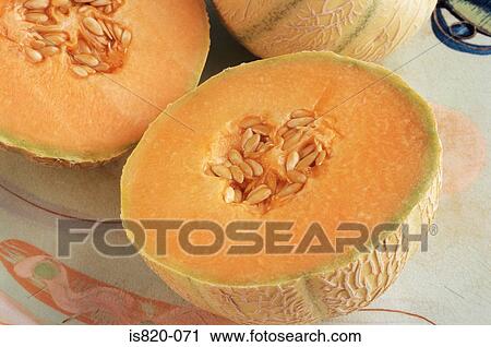 Cantaloupe melon View Large Photo Image Stock Image - Cantaloupe melon. Fotosearch
