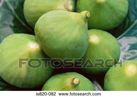 Figs View Large Photo Image Stock Image - Figs. Fotosearch