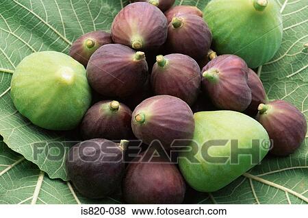 Figs View Large Photo Image Stock Photo - Figs. Fotosearch